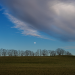 Appreciating Stick Season