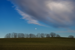 Read more about the article Appreciating Stick Season