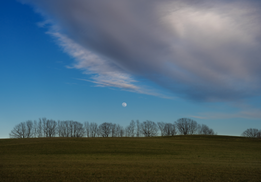 Appreciating Stick Season