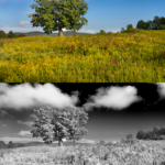 Black and White Infrared Look from a Color Photo in 60 Seconds